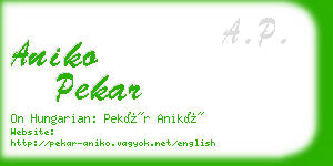 aniko pekar business card